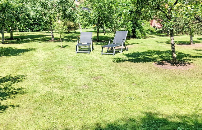 Apartment mit 2 Schlafzimmern in Arnstein mit garten - Foto 5