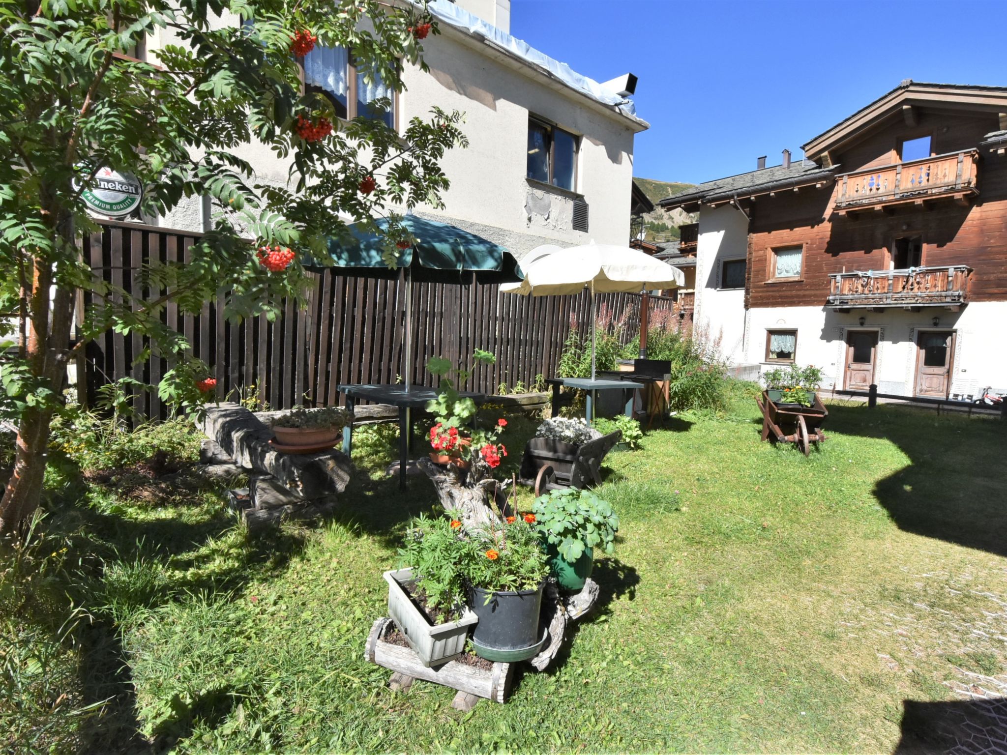 Photo 20 - Appartement de 3 chambres à Livigno avec jardin et vues sur la montagne