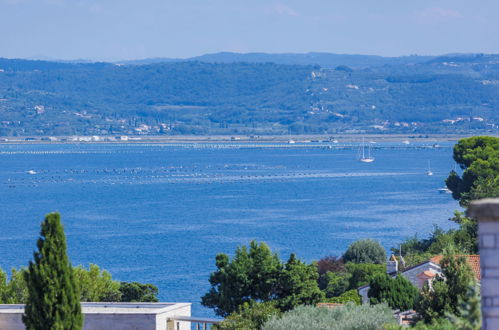 Photo 29 - Appartement de 2 chambres à Umag avec jardin et vues à la mer