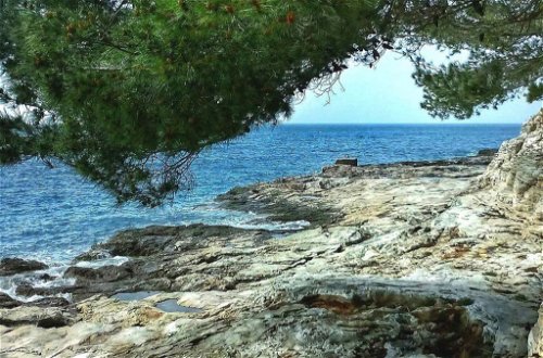 Photo 15 - 2 bedroom Apartment in Pula with garden and sea view