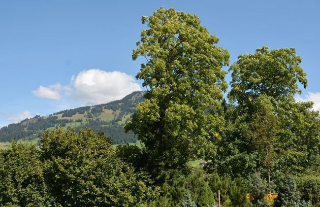 Apartamento de 1 quarto em Saanen - Foto 6