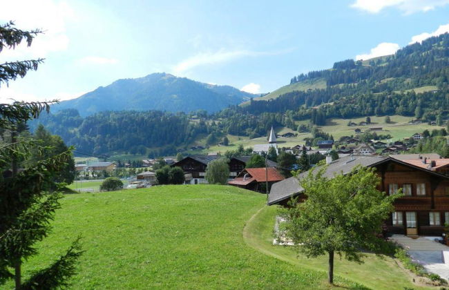 Apartamento de 1 quarto em Saanen - Foto 7
