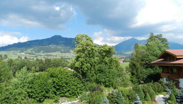 Apartment mit 1 Schlafzimmer in Saanen - Foto 4