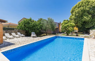 Foto 1 - Casa con 6 camere da letto a Višnjan con piscina privata e giardino