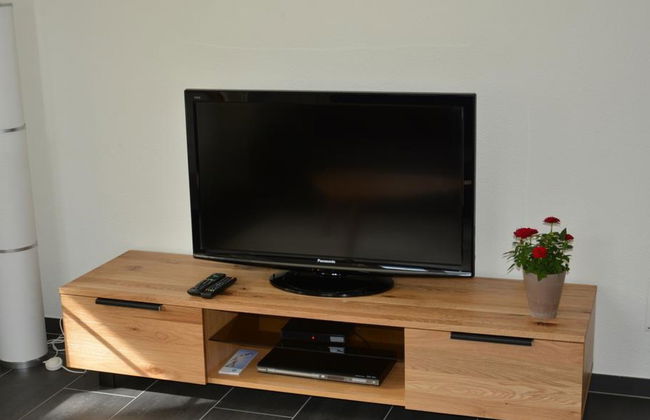 Apartamento de 1 quarto em Zweisimmen - Foto 9