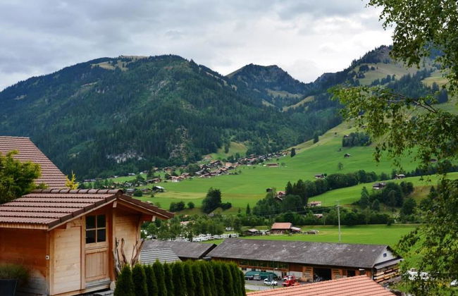 Apartamento de 1 quarto em Zweisimmen - Foto 6