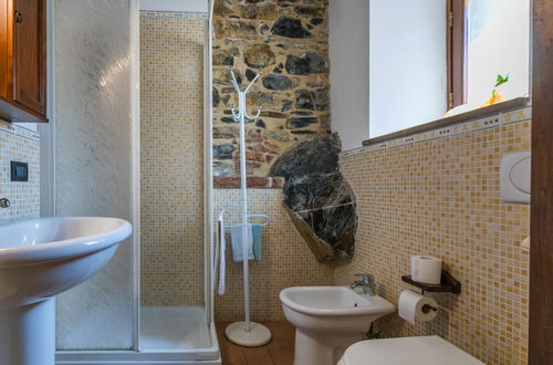 Foto 53 - Casa de 3 quartos em Castelnuovo di Val di Cecina com piscina e jardim