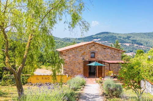 Foto 60 - Casa de 3 quartos em Castelnuovo di Val di Cecina com piscina e jardim