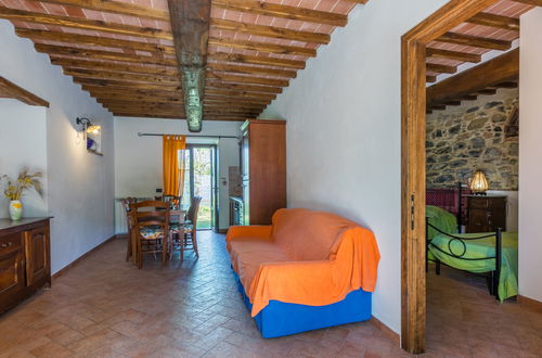 Foto 9 - Casa de 3 quartos em Castelnuovo di Val di Cecina com piscina e jardim