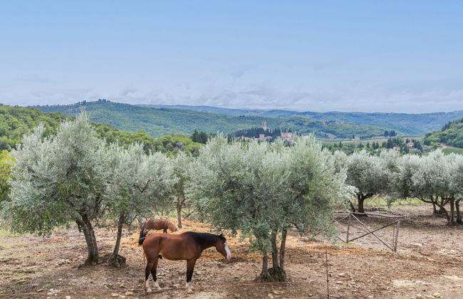Apartment mit 2 Schlafzimmern in San Casciano in Val di Pesa mit schwimmbad und garten - Foto 31