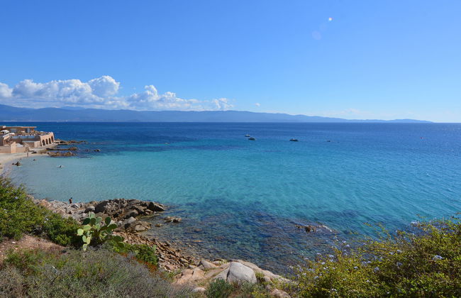Apartamento de 1 quarto em Ajaccio com piscina e jardim - Foto 26