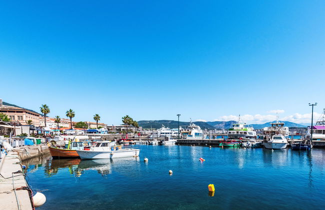Apartamento de 1 quarto em Ajaccio com piscina e jardim - Foto 33