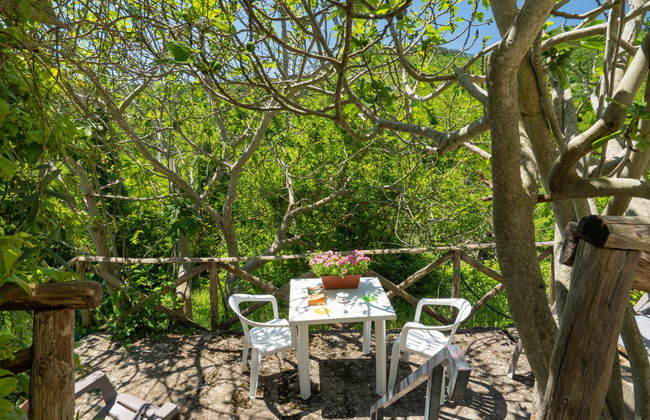 Haus mit 4 Schlafzimmern in Pontassieve mit privater pool und garten - Foto 33