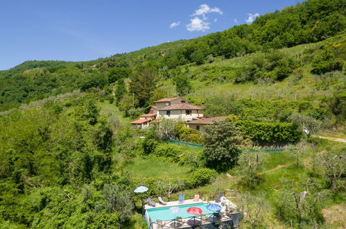 Foto 1 - Casa con 3 camere da letto a Pontassieve con piscina privata e giardino