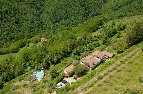 Photo 32 - Maison de 3 chambres à Pontassieve avec piscine privée et jardin