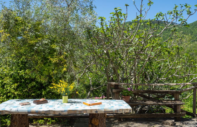 Haus mit 4 Schlafzimmern in Pontassieve mit privater pool und garten - Foto 30