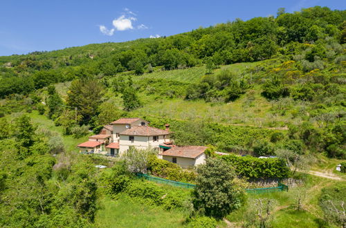 Foto 6 - Haus mit 3 Schlafzimmern in Pontassieve mit privater pool und garten