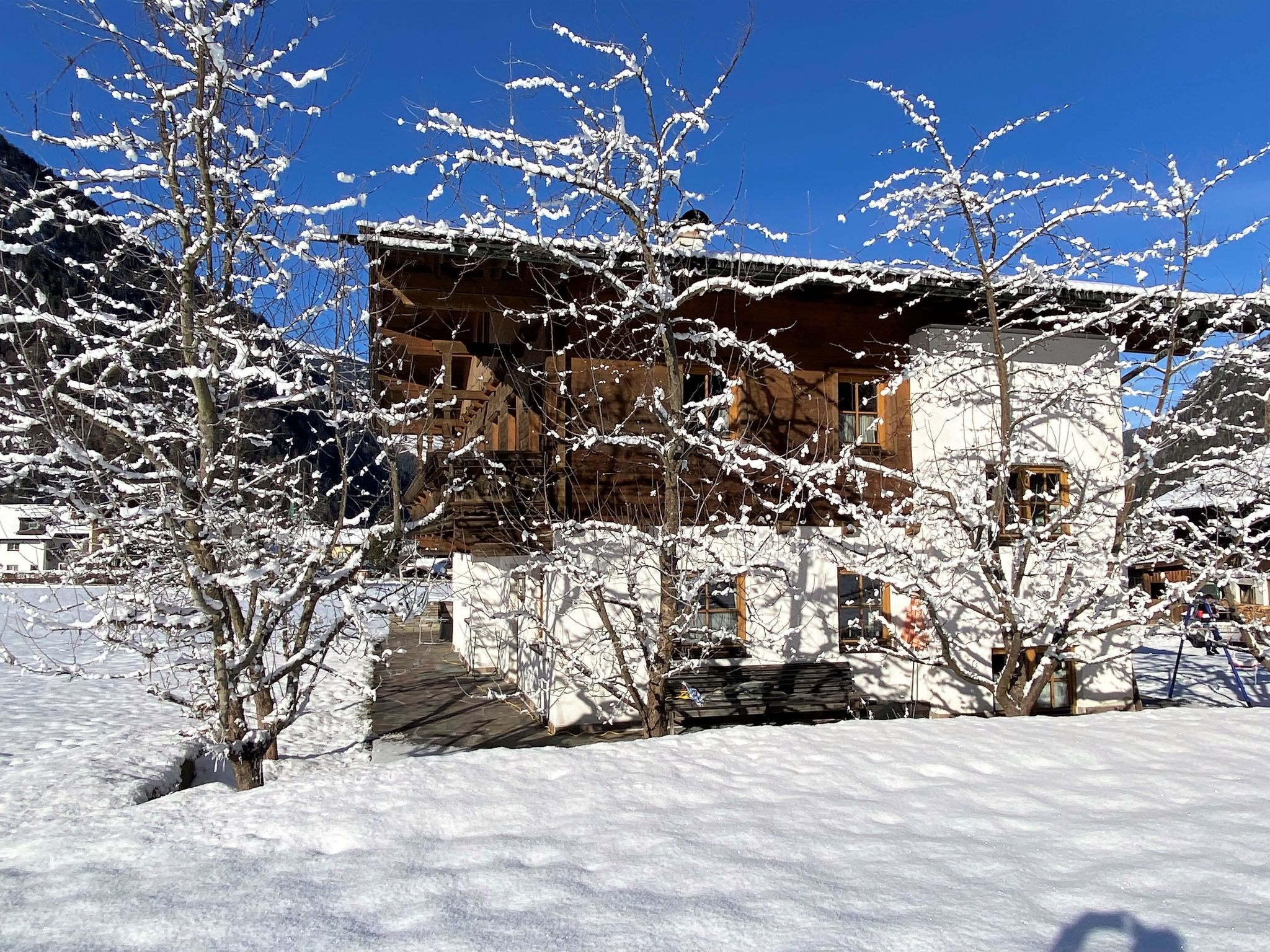 Foto 22 - Apartamento de 1 quarto em Mayrhofen com terraço e vista para a montanha