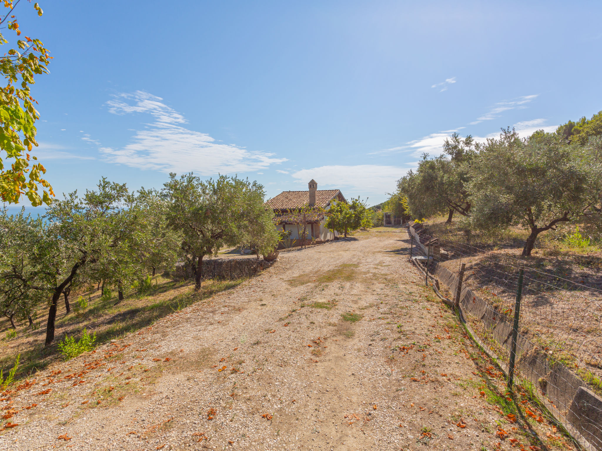 Photo 25 - Maison de 1 chambre à Roseto degli Abruzzi avec jardin et vues à la mer