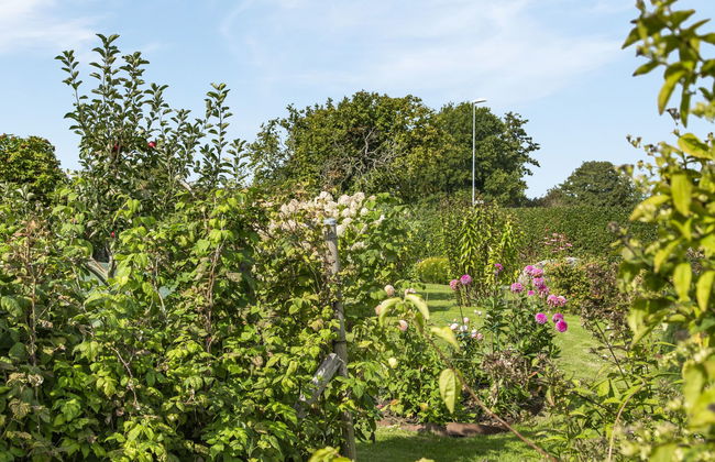 Casa con 2 camere da letto a Bromölla con giardino e terrazza - Foto 20