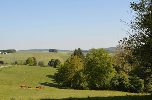 Photo 18 - Home With Garden Beside the Ourthe and the Ravel