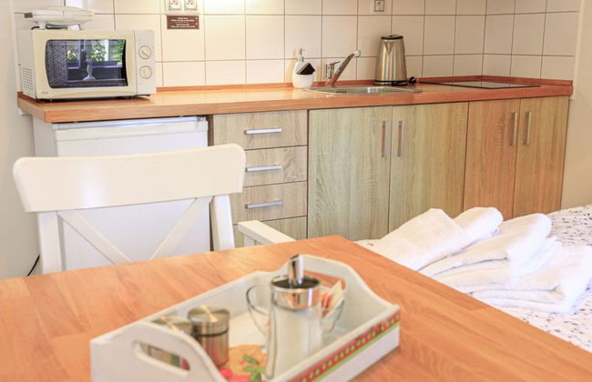 Apartamento de 1 quarto em Arnoltice com jardim e terraço - Foto 4