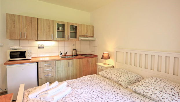 Apartment mit 1 Schlafzimmer in Arnoltice mit garten und terrasse - Foto 3