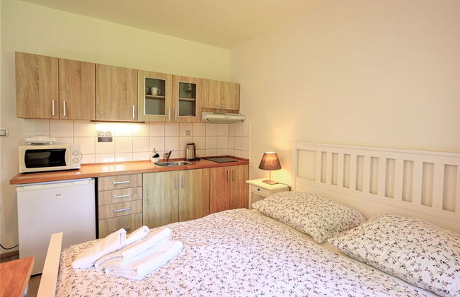 Apartamento de 1 quarto em Arnoltice com jardim e terraço - Foto 3
