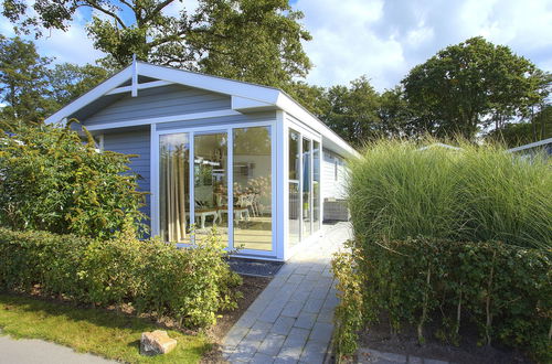 Photo 9 - Maison de 2 chambres à Hulshorst avec piscine et terrasse