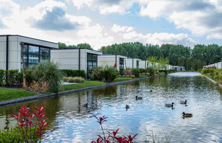 Foto 1 - Casa con 2 camere da letto a Velsen-Zuid con piscina e giardino