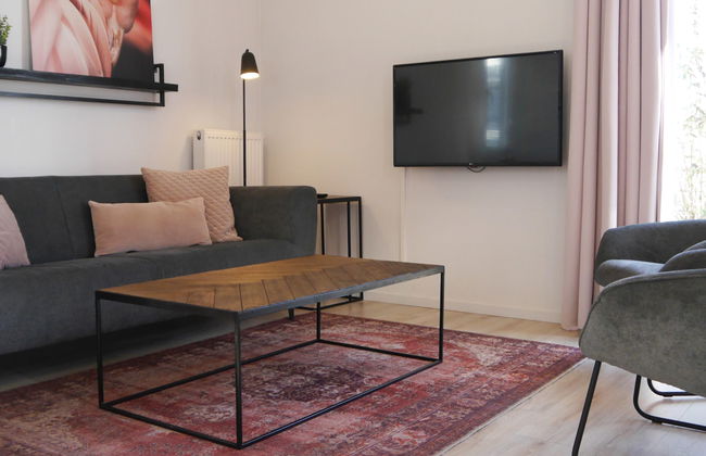 Casa con 3 camere da letto a Hulshorst con piscina e terrazza - Foto 3