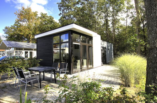 Photo 8 - Maison de 2 chambres à Hulshorst avec piscine et terrasse