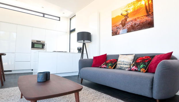 Casa de 3 quartos em Nieuwvliet com terraço - Foto 3