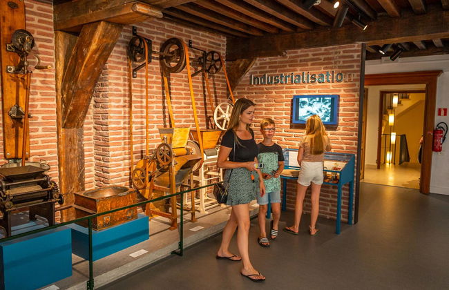 Casa de 3 quartos em Nieuwvliet com terraço - Foto 13