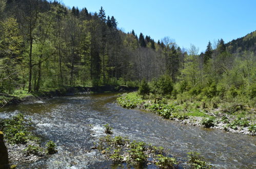 Photo 24 - 1 bedroom Apartment in Friedenweiler with garden and mountain view