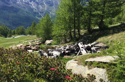 Photo 21 - 1 bedroom Apartment in Saas-Grund with garden and mountain view