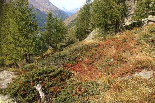 Foto 13 - Appartamento con 1 camera da letto a Saas-Grund con giardino e terrazza