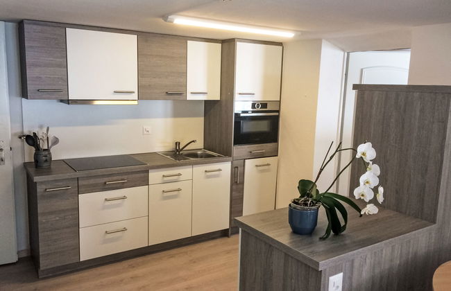 Apartamento de 2 quartos em Saas-Grund com jardim e terraço - Foto 7