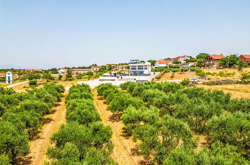 Foto 48 - Casa de 4 habitaciones en Benkovac con piscina privada y vistas al mar