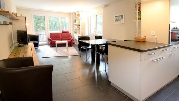 Appartamento con 2 camere da letto a Saas-Fee - Foto 3