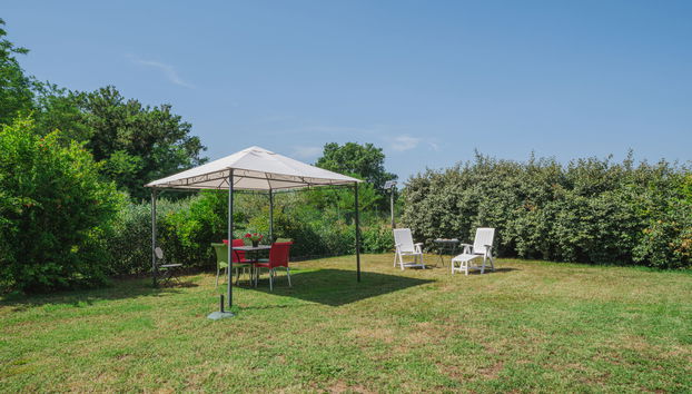2 bedroom House in Castelfranco di Sotto with swimming pool and garden - Photo 4