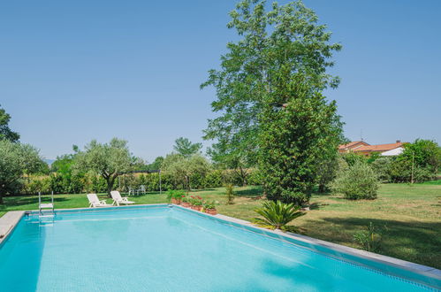 Foto 21 - Casa de 2 quartos em Castelfranco di Sotto com piscina e jardim