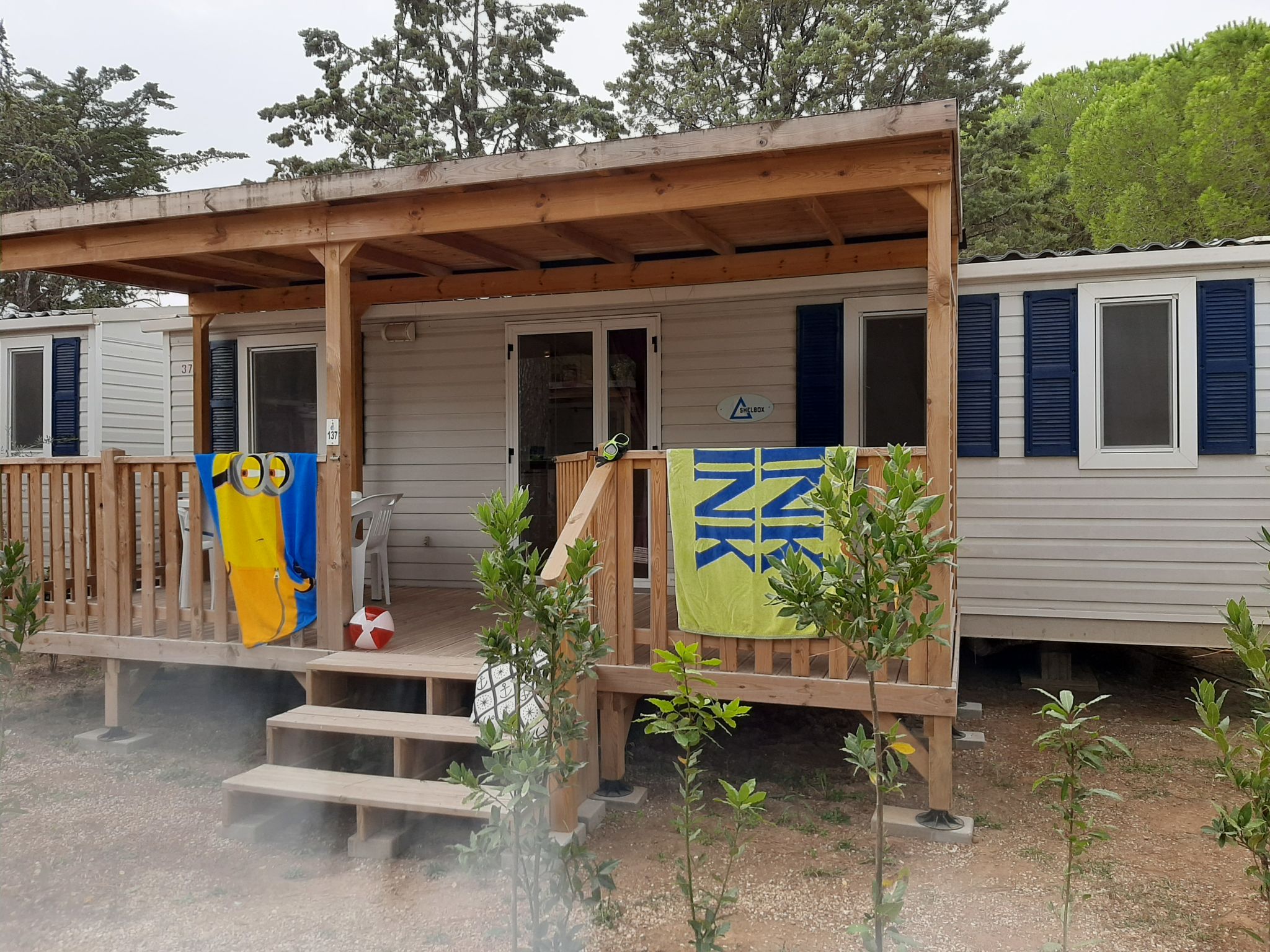 Photo 16 - Maison de 3 chambres à Bibbona avec piscine et vues à la mer