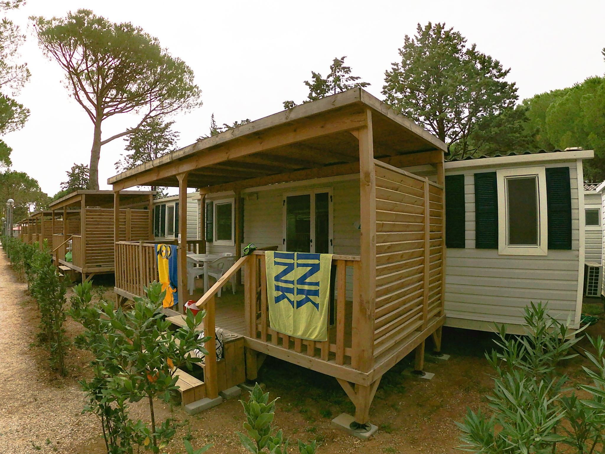 Photo 3 - Maison de 3 chambres à Bibbona avec piscine et vues à la mer