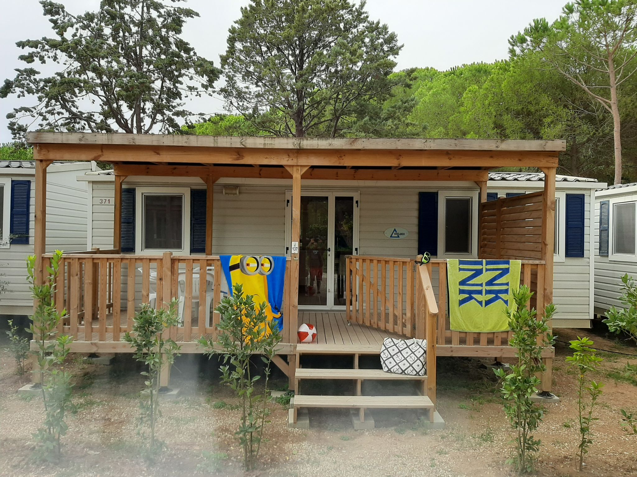 Photo 1 - Maison de 3 chambres à Bibbona avec piscine et jardin