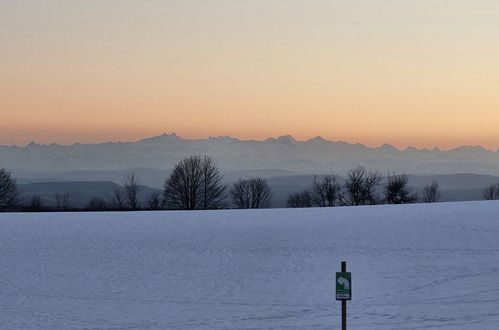 Photo 19 - Appartement en Höchenschwand avec piscine et vues sur la montagne