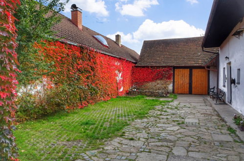 Photo 45 - Maison de 4 chambres à Vlkov avec piscine privée et jardin