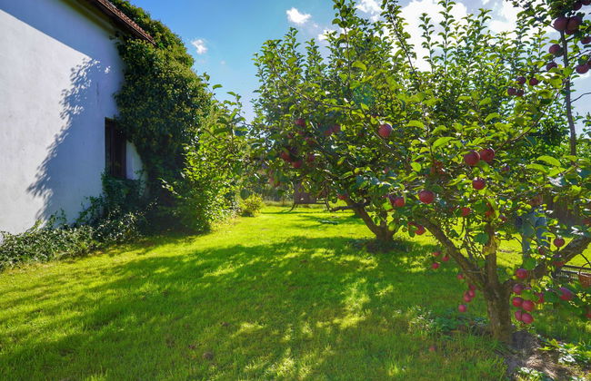 Casa de 5 quartos em Vlkov com piscina privada e jardim - Foto 53