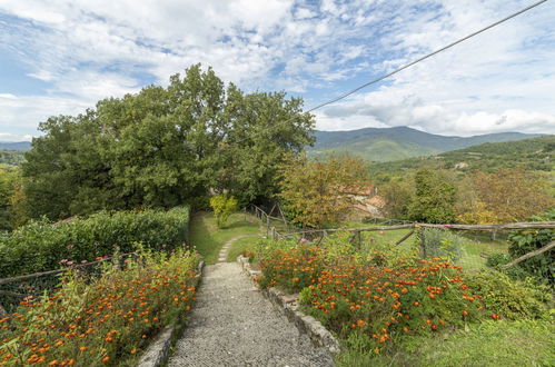 Photo 59 - Maison de 5 chambres à Cortona avec piscine privée et jardin