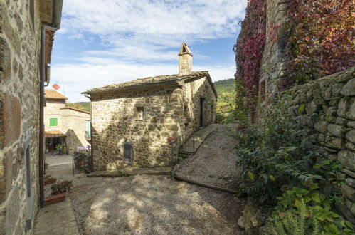 Foto 44 - Casa de 5 habitaciones en Cortona con piscina privada y jardín